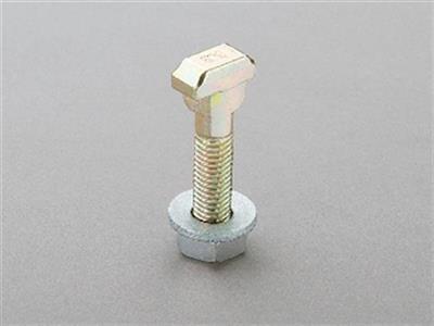 HAMMER-HEAD SCREW FOR TCC-PROFILE, WITH NUT AND SPRING WASHER M10 x 45